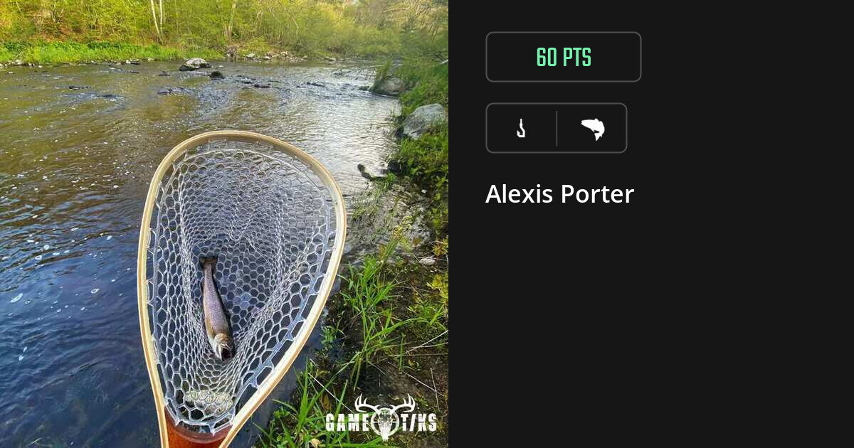 Saltwater fish harvest on Gametiks