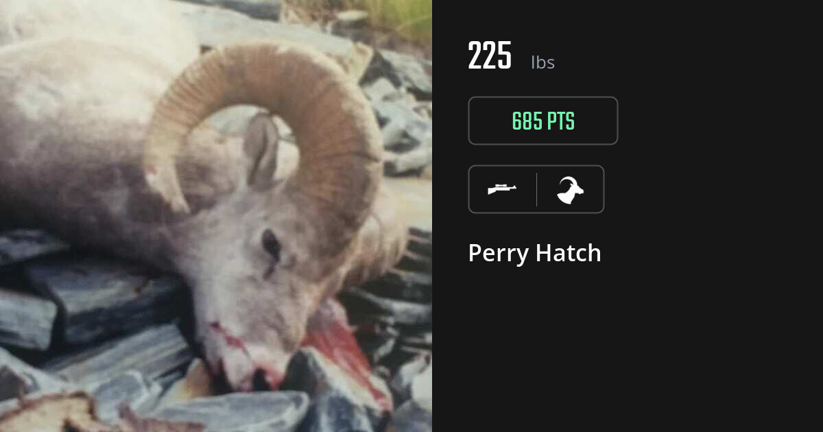 Bovid harvest on Gametiks