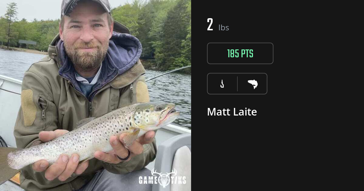 Saltwater fish harvest on Gametiks