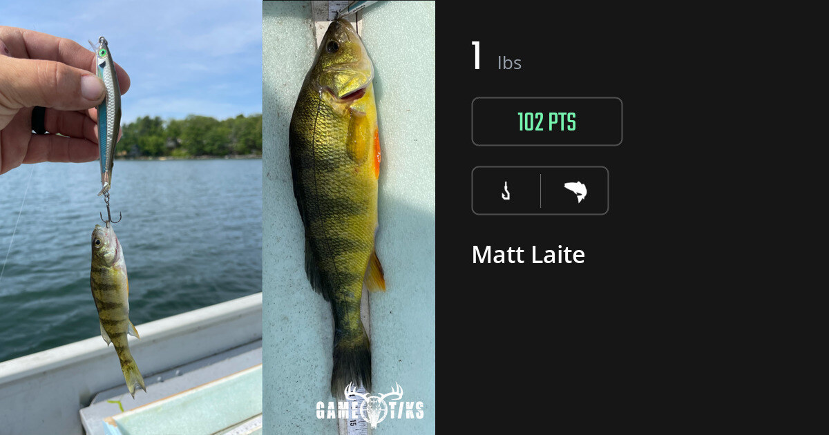 Saltwater fish harvest on Gametiks