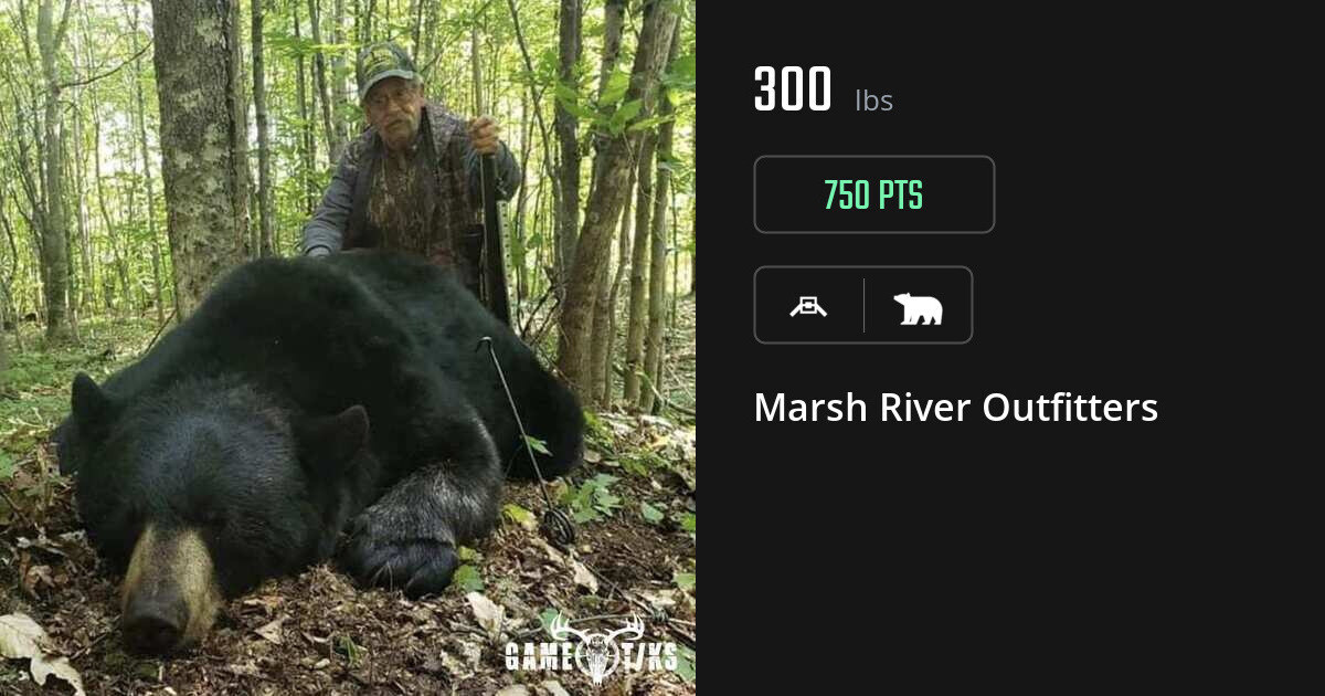 Bear harvest on Gametiks