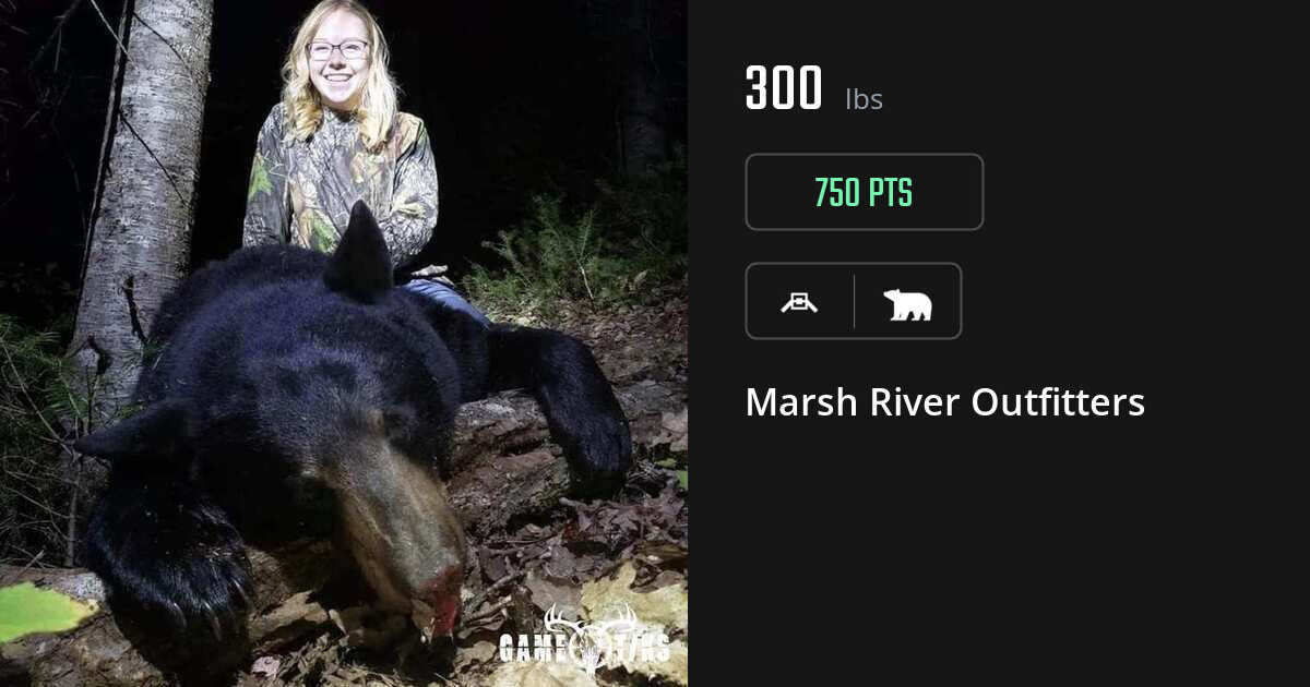 Bear harvest on Gametiks