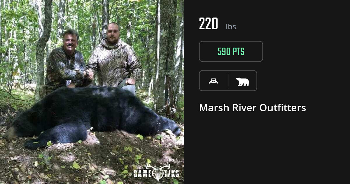 Bear harvest on Gametiks