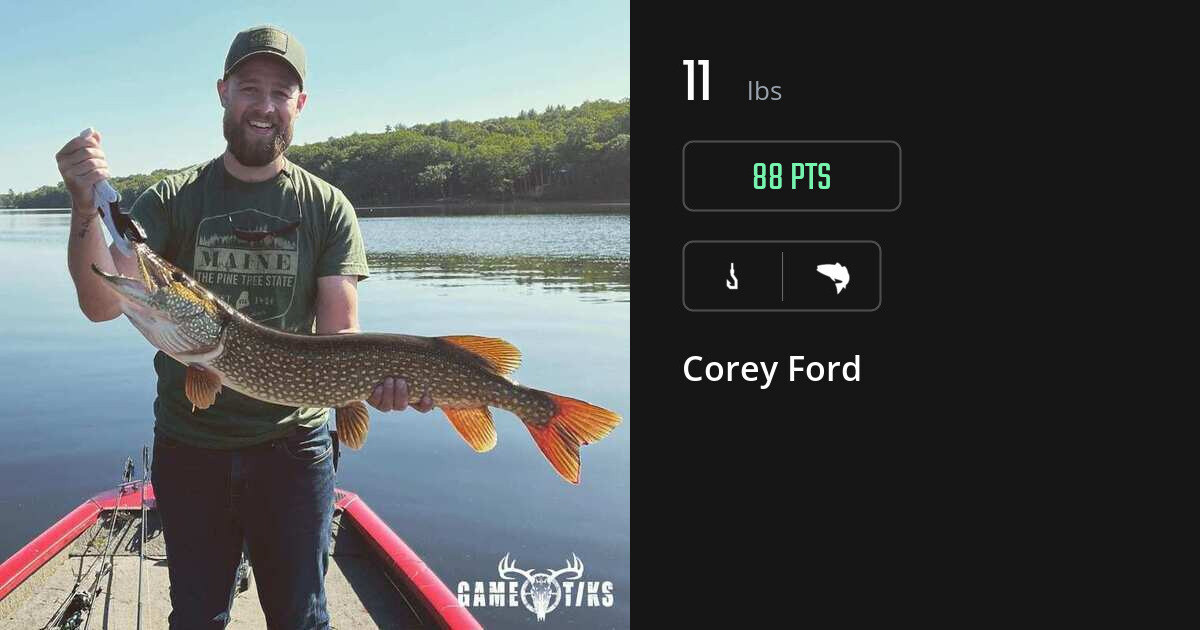 saltwater_fish harvest by Corey Ford
