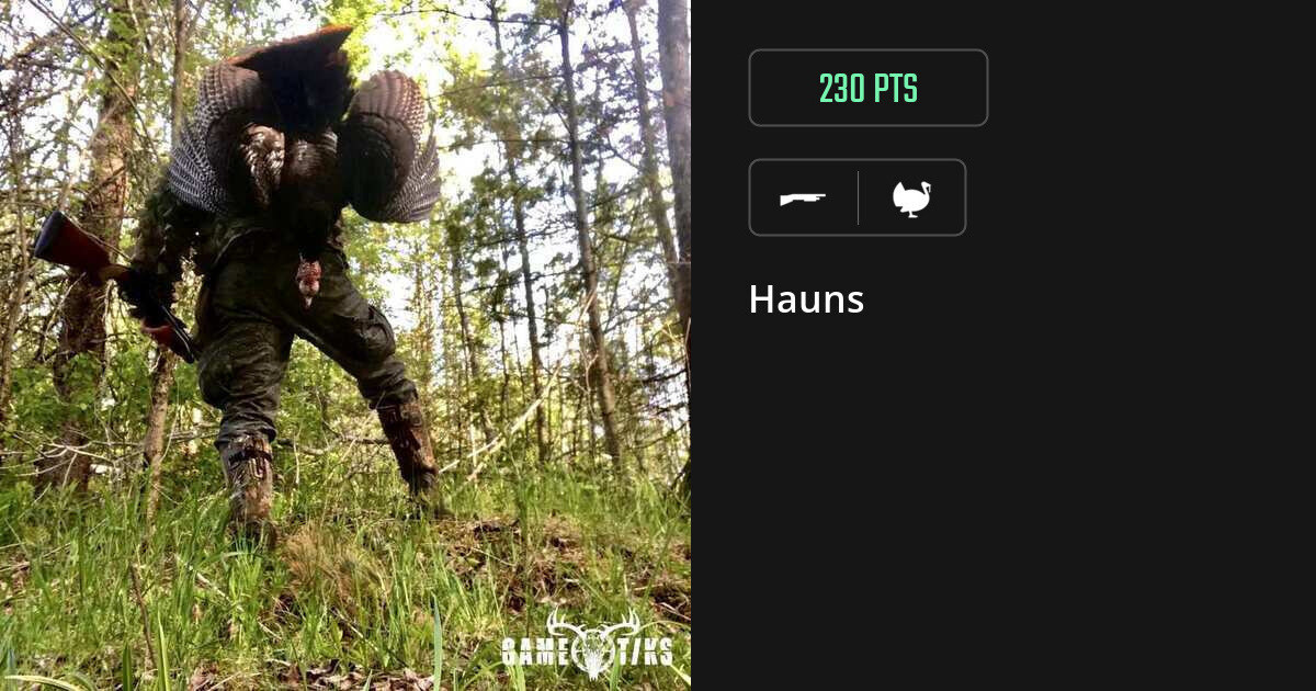 Turkey harvest on Gametiks