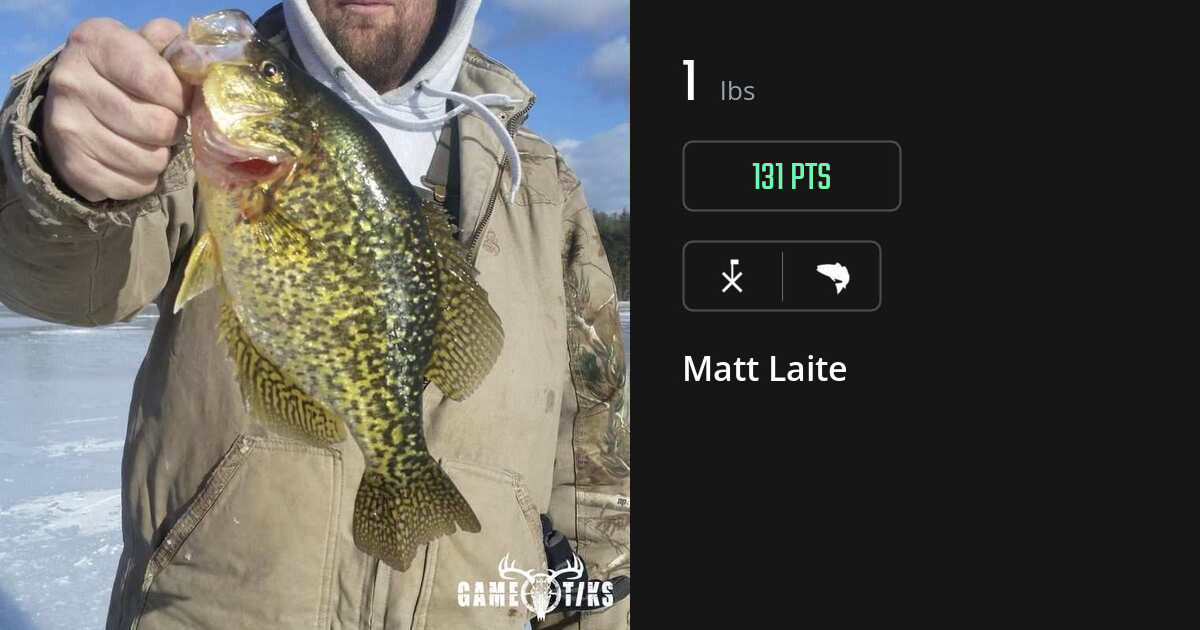 Saltwater fish harvest on Gametiks