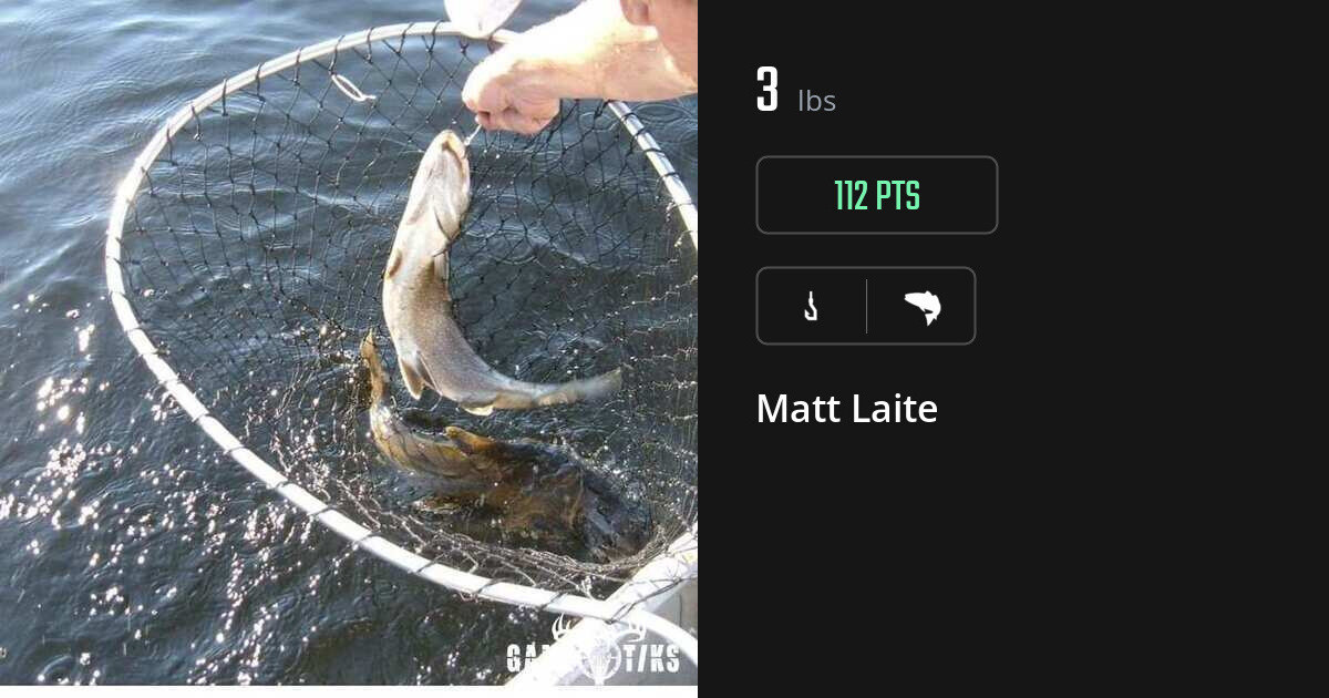 Saltwater fish harvest on Gametiks