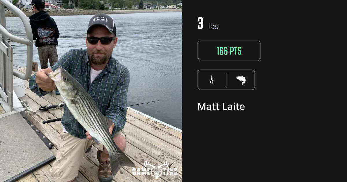 Saltwater fish harvest on Gametiks