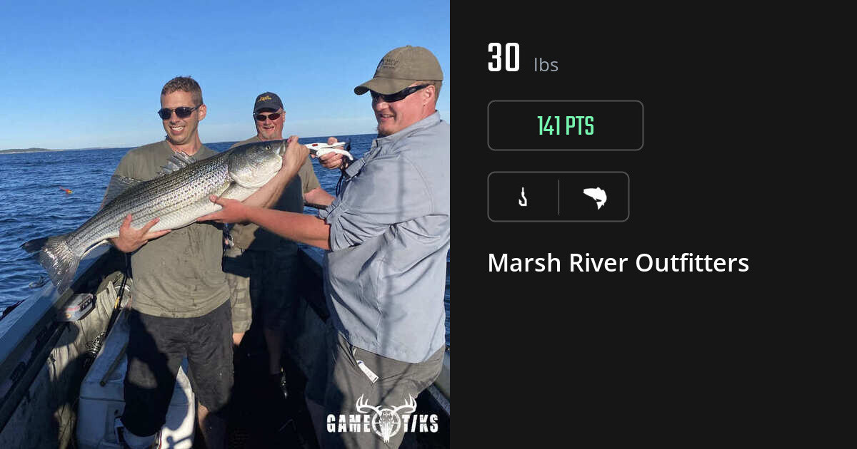 Saltwater fish harvest on Gametiks