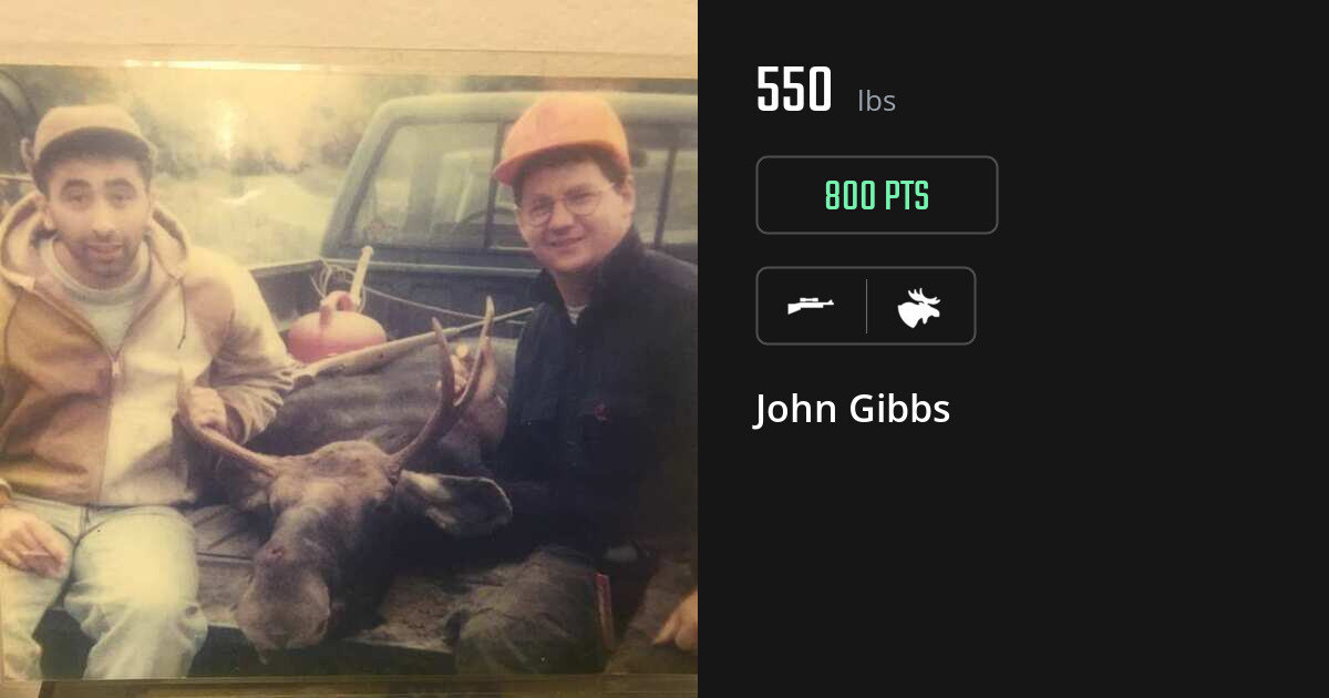 Moose harvest on Gametiks