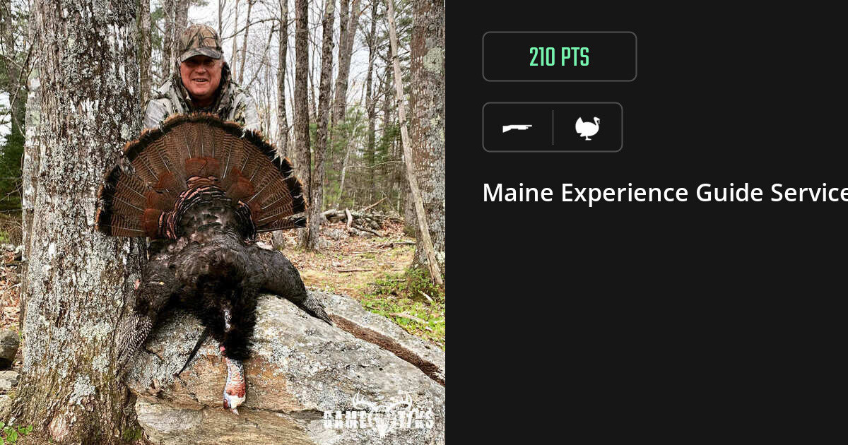 Turkey harvest on Gametiks
