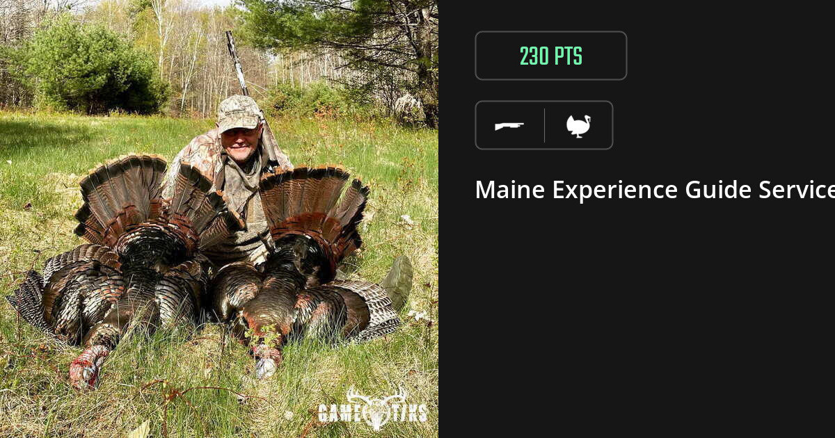 Turkey harvest on Gametiks