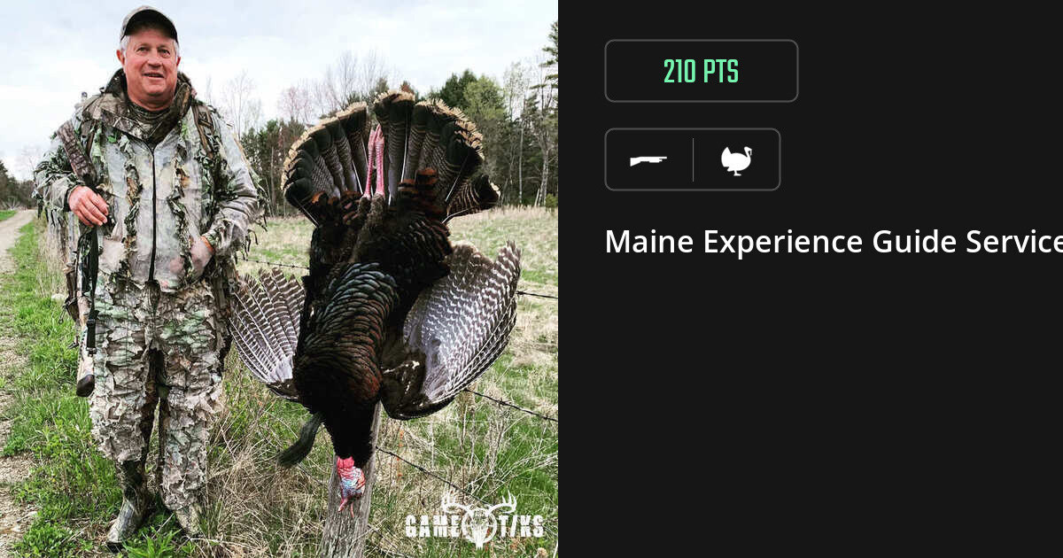 Turkey harvest on Gametiks