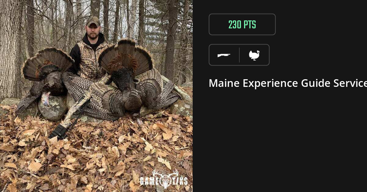 Turkey harvest on Gametiks