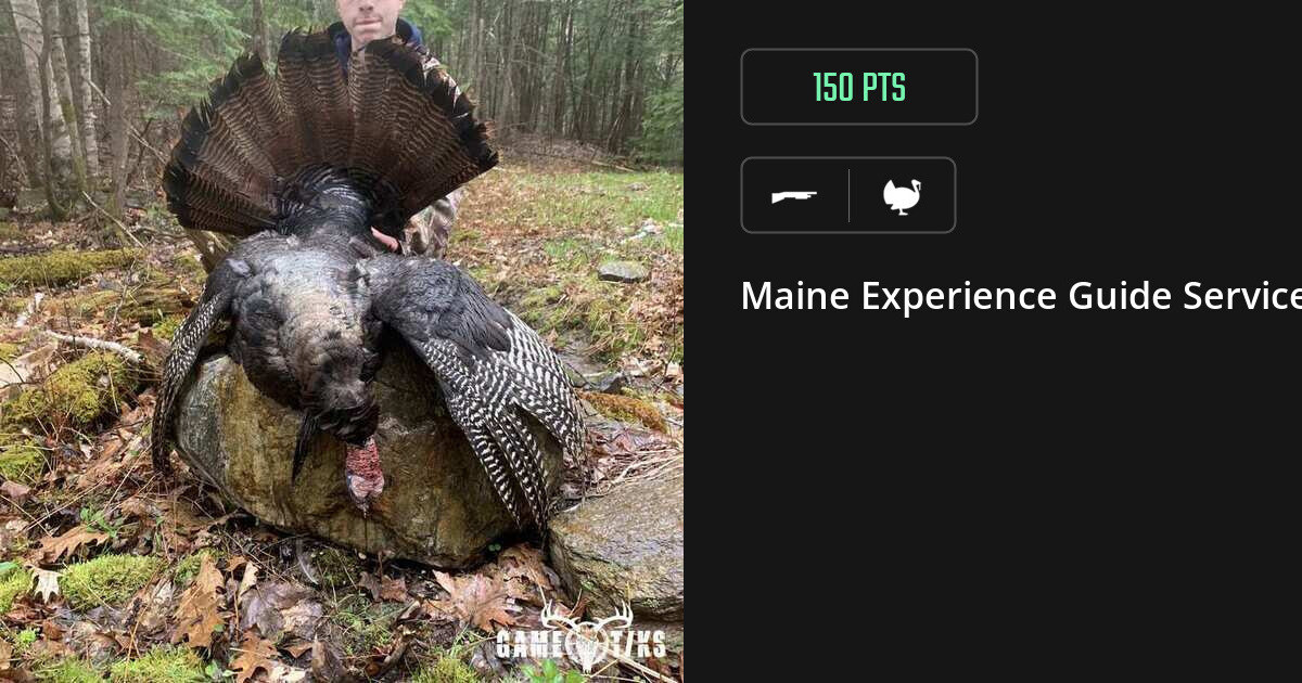 Turkey harvest on Gametiks