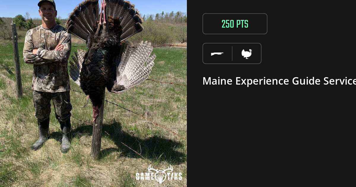 Turkey harvest on Gametiks
