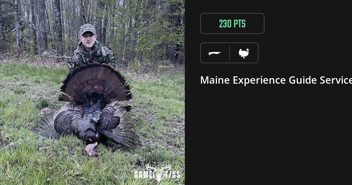 Turkey harvest on Gametiks