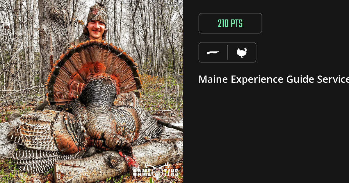 Turkey harvest on Gametiks