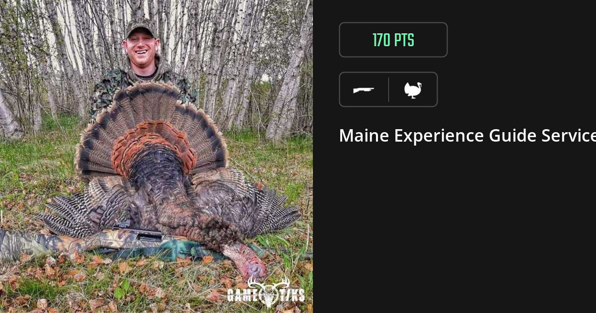 Turkey harvest on Gametiks