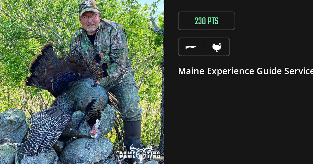 Turkey harvest on Gametiks