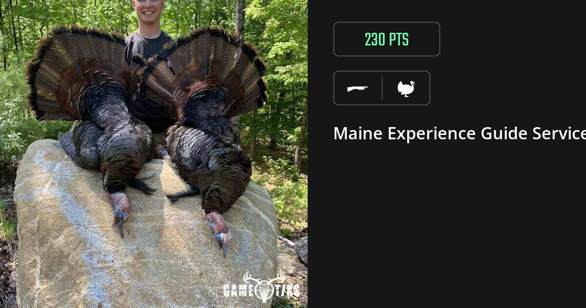 Turkey harvest on Gametiks