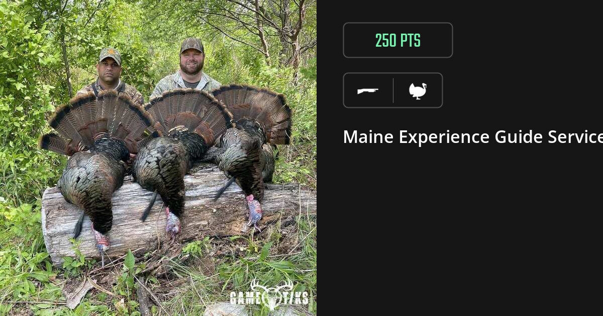 Turkey harvest on Gametiks