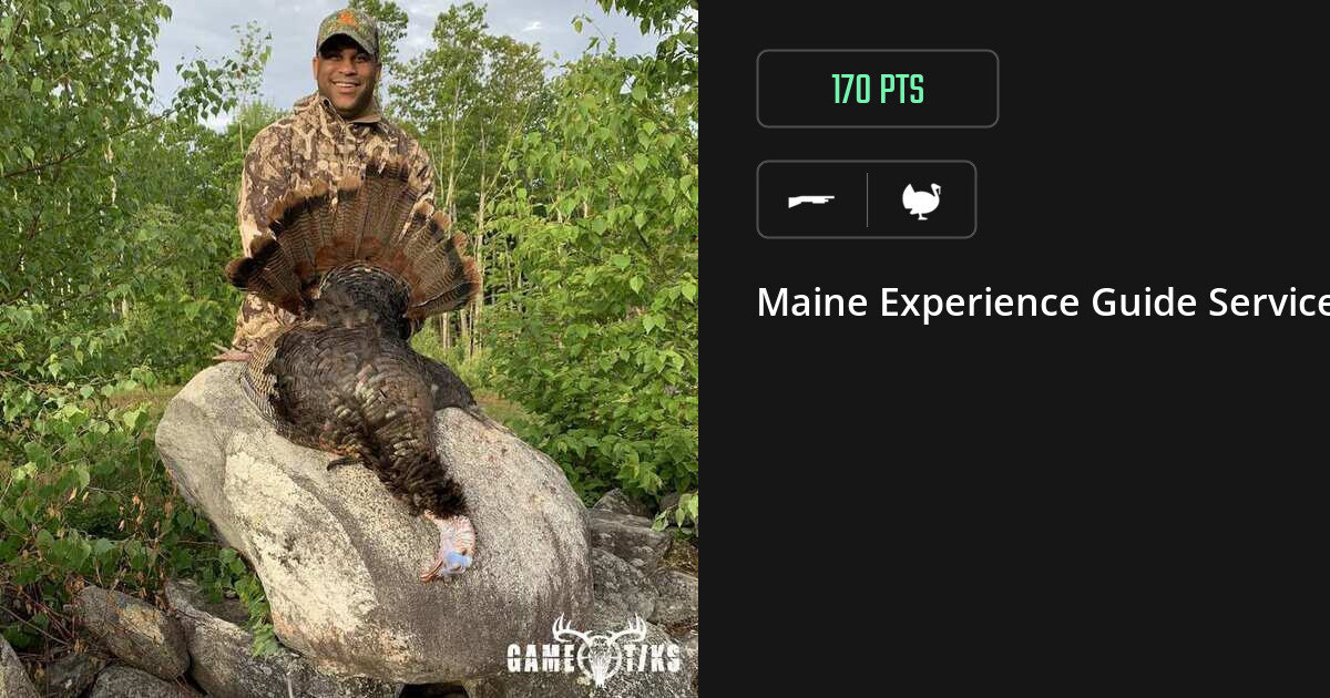 Turkey harvest on Gametiks
