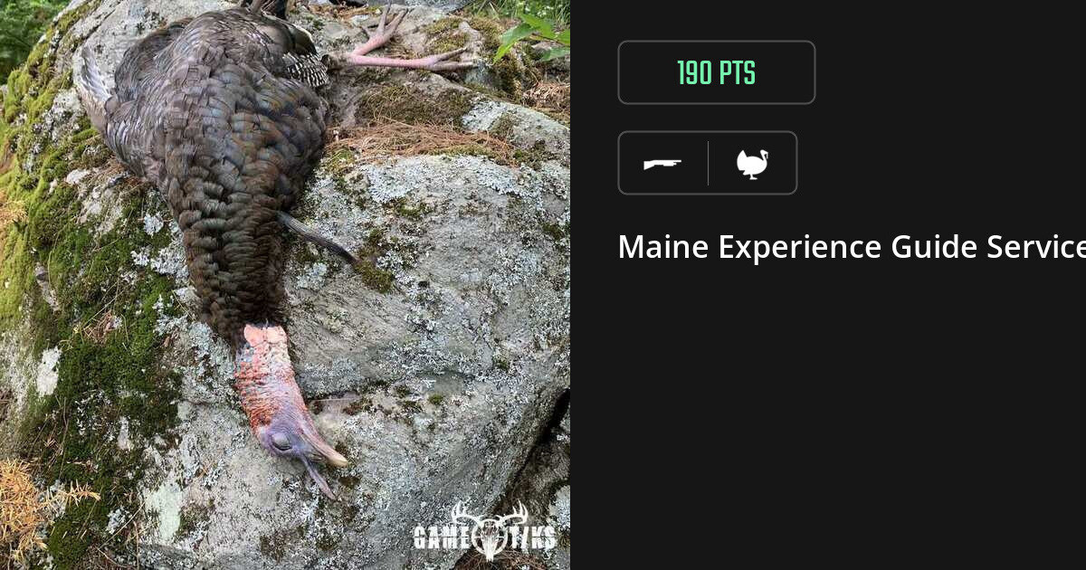 Turkey harvest on Gametiks