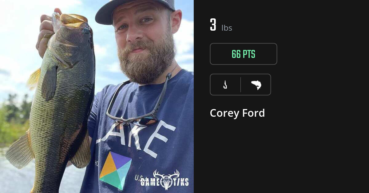 saltwater_fish harvest by Corey Ford