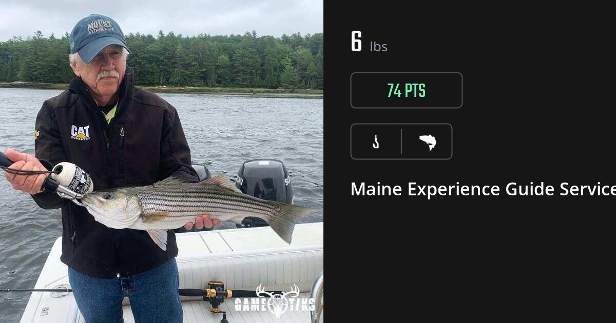 Saltwater fish harvest on Gametiks