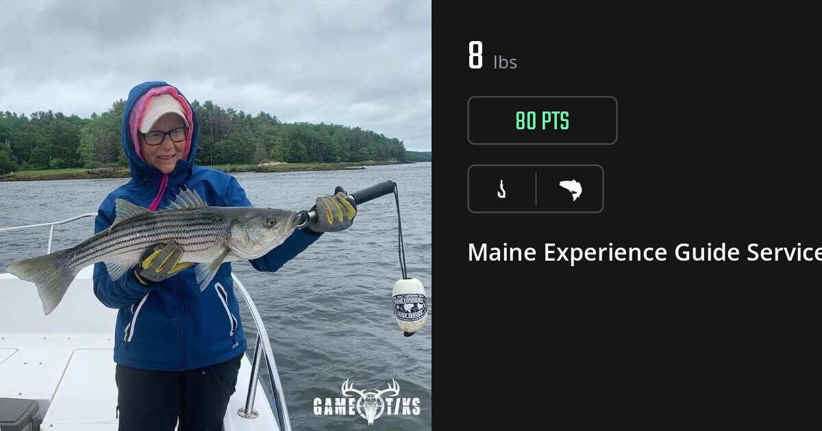 Saltwater fish harvest on Gametiks