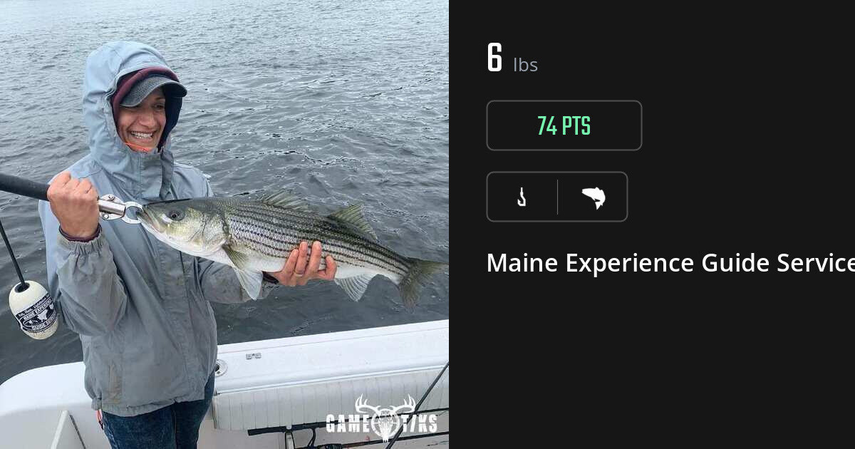 Saltwater fish harvest on Gametiks