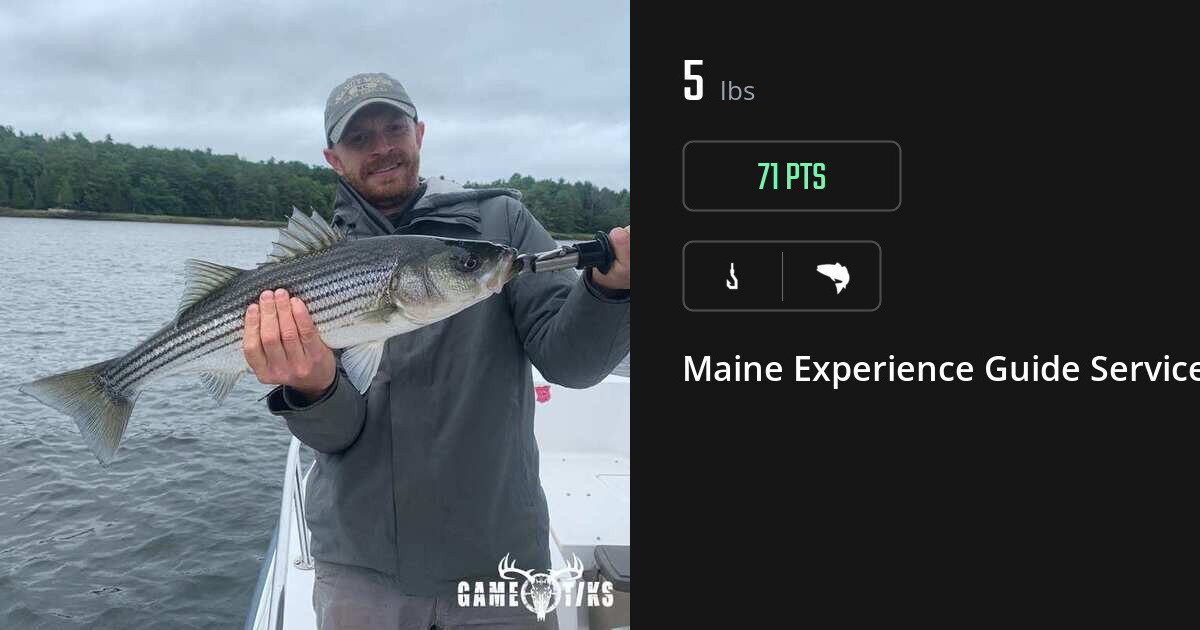 Saltwater fish harvest on Gametiks