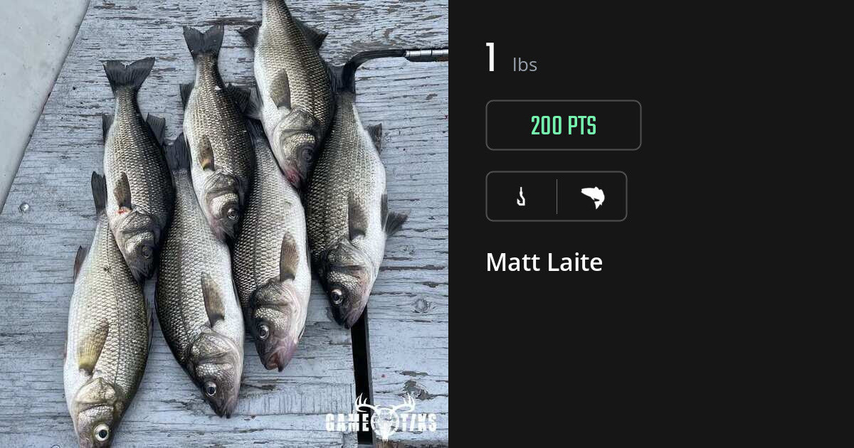 Saltwater fish harvest on Gametiks