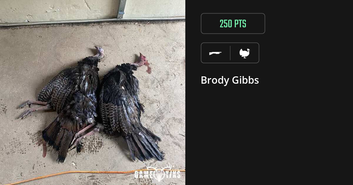 Turkey harvest on Gametiks