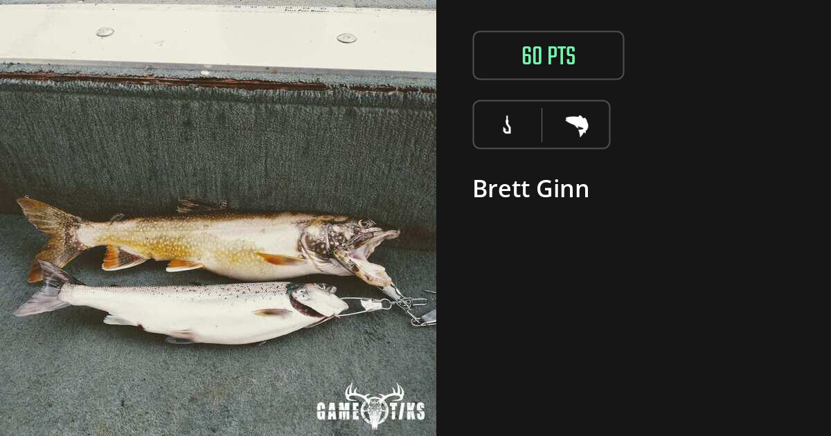 Saltwater fish harvest on Gametiks