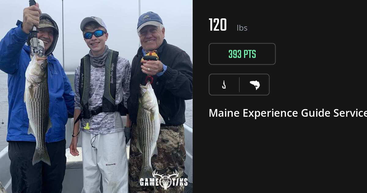 Saltwater fish harvest on Gametiks