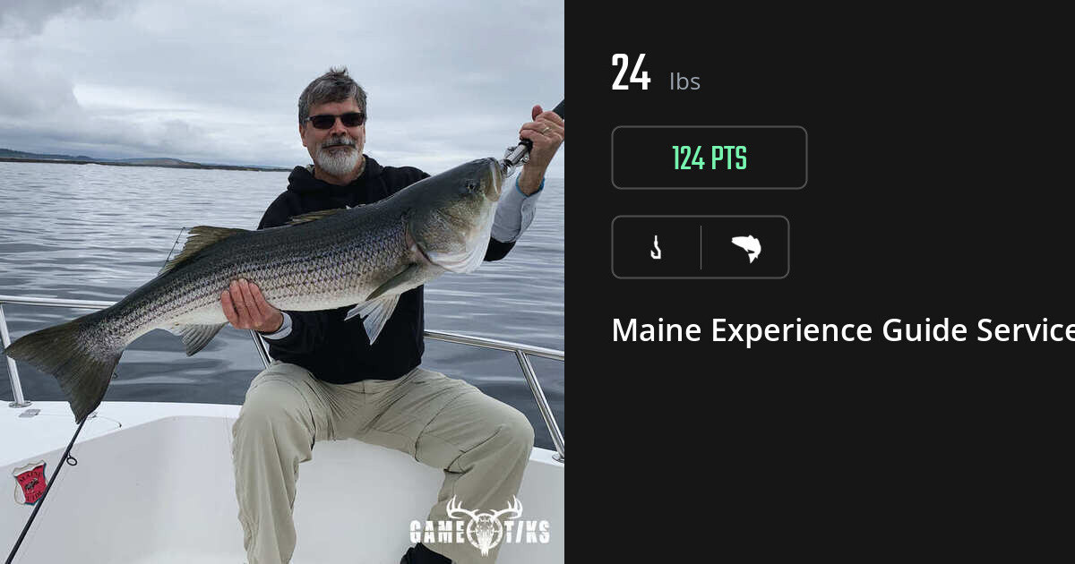 Saltwater fish harvest on Gametiks