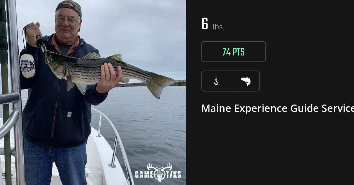 Saltwater fish harvest on Gametiks