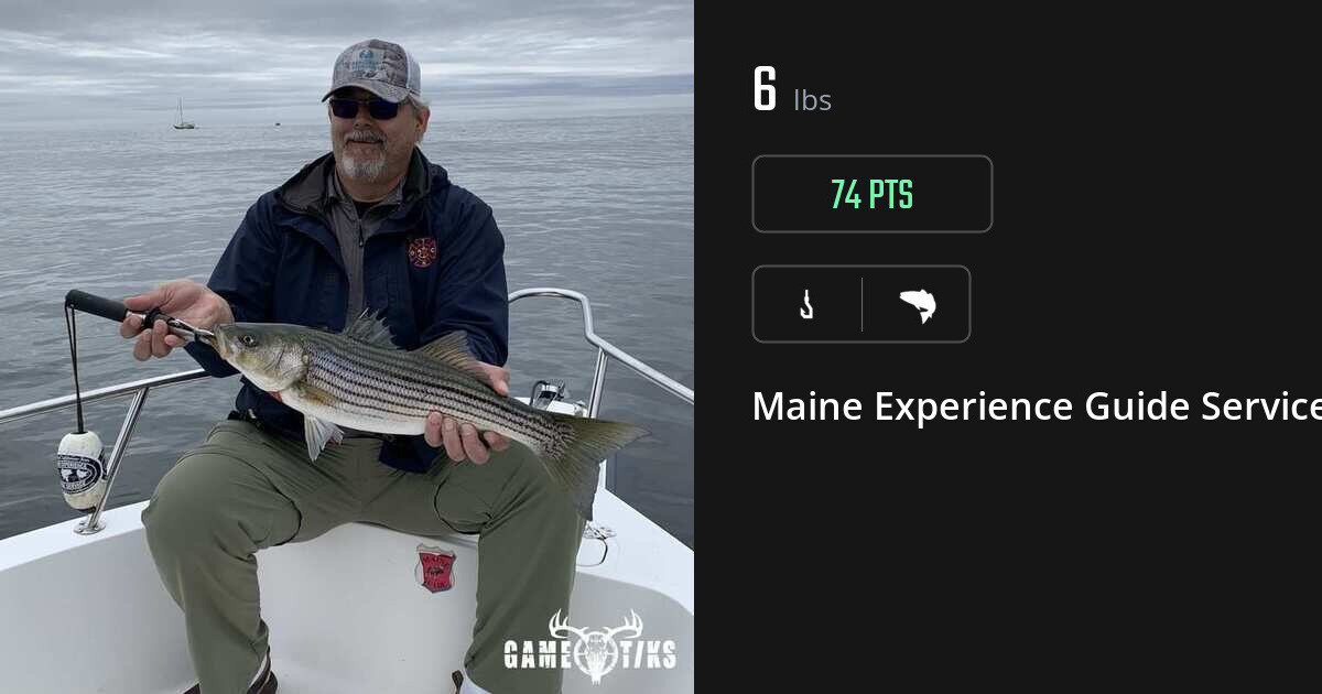 Saltwater fish harvest on Gametiks