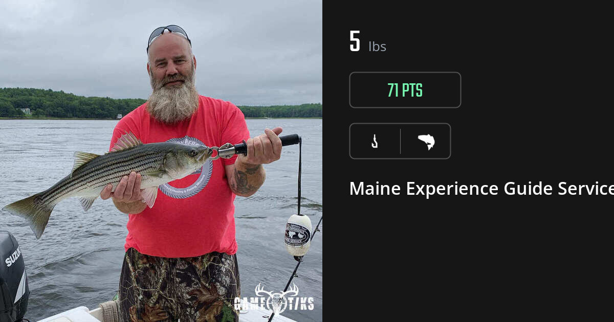 Saltwater fish harvest on Gametiks