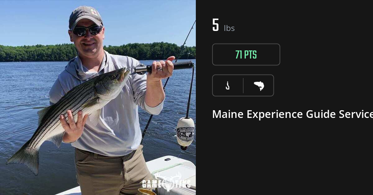 Saltwater fish harvest on Gametiks