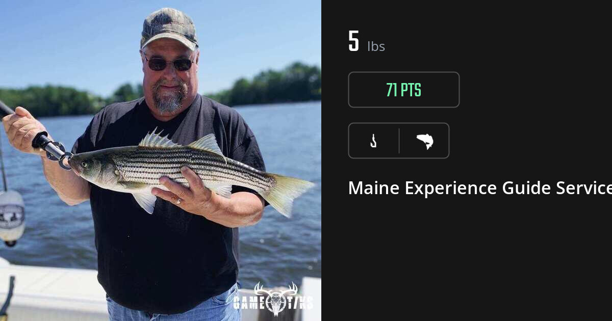Saltwater fish harvest on Gametiks