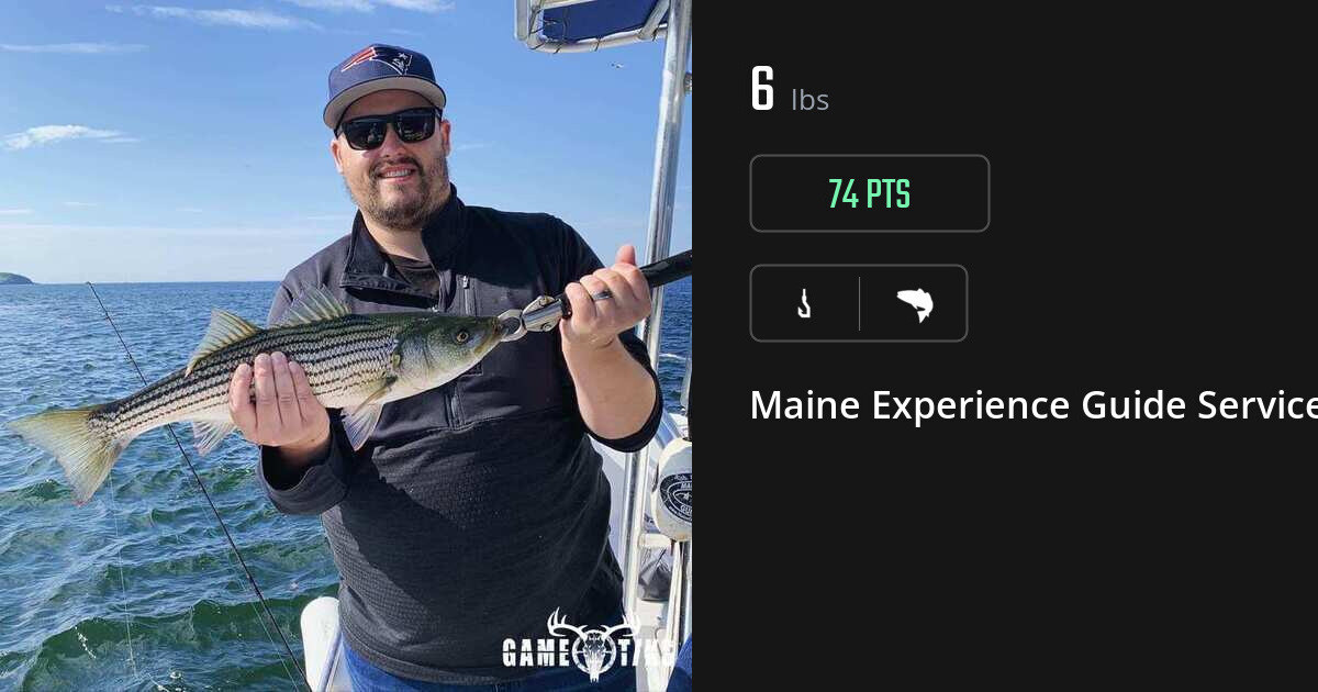 Saltwater fish harvest on Gametiks