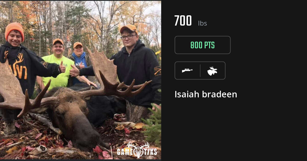 Moose harvest on Gametiks