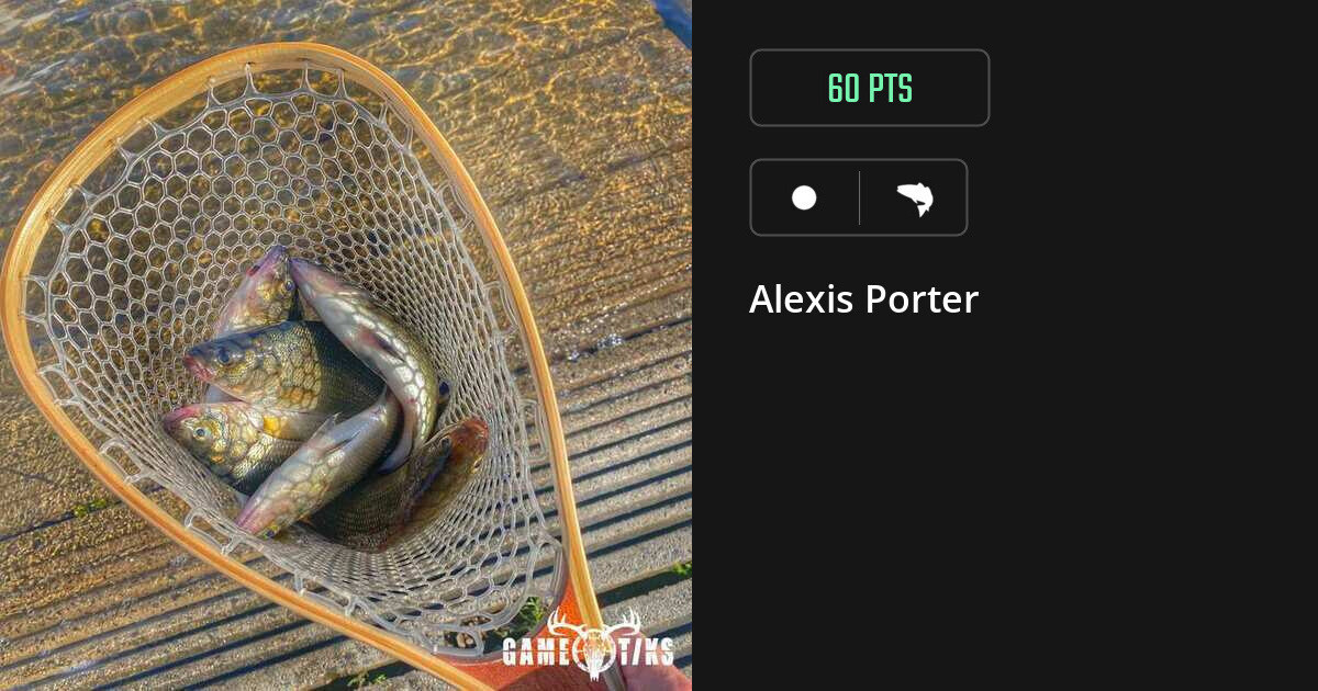 Saltwater fish harvest on Gametiks