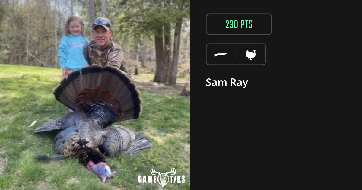 turkey harvest by Sam Ray