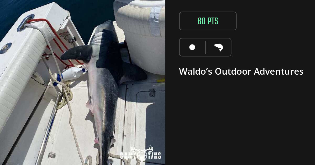 saltwater_fish harvest by Waldo’s Outdoor Adventures
