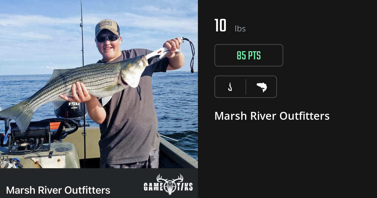 Saltwater fish harvest on Gametiks