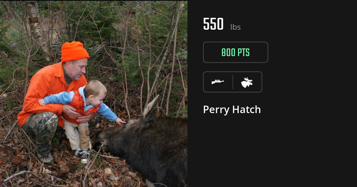 Moose harvest on Gametiks